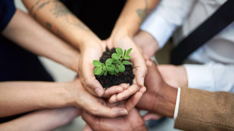 Committed to continual growth. Committed to continual growth.