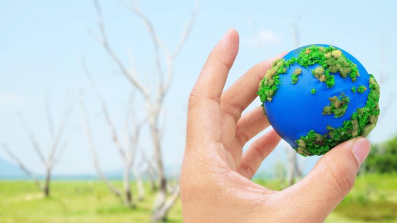 hands-and-earth-2023-11-27-05-32-26-utc hands-and-earth-2023-11-27-05-32-26-utc